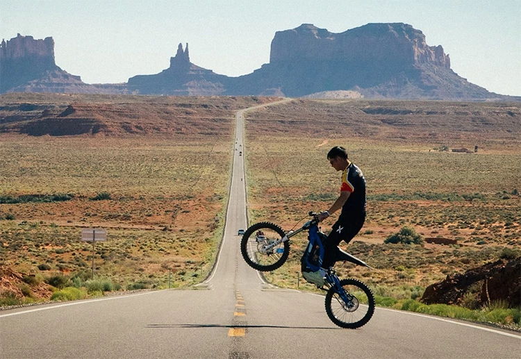 Gnarly SurRon Light Bee X S Lithium Battery Power-Assisted Electric Dirt Bike Outdoor Motocross Bike 48V/60V 3000W/4500W