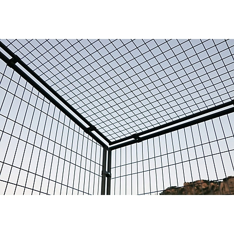 Producer's Pride Universal Poultry Pen, 24 Chicken Capacity, 8 ft. x 8 ft.